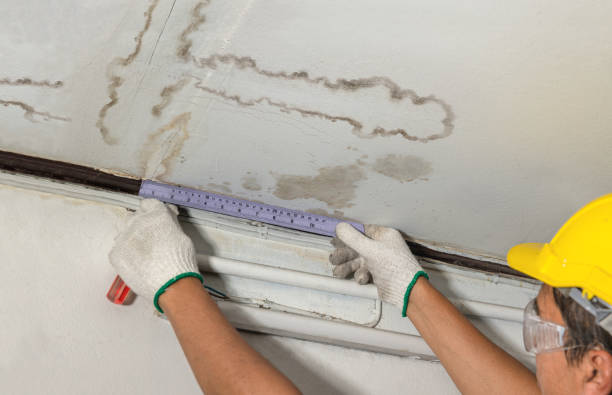 Reliable Flood Cleanup contractor in Rushsylvania, OH by Water Damage Irwin